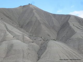 lanchi Cannizzola-03-03-2016 19-54-32